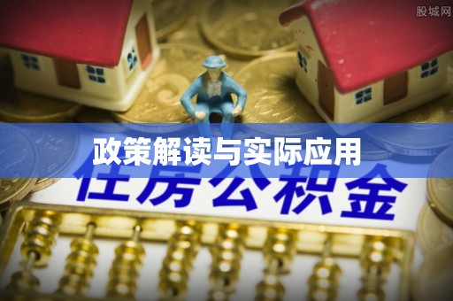 百色政策解读与实际应用