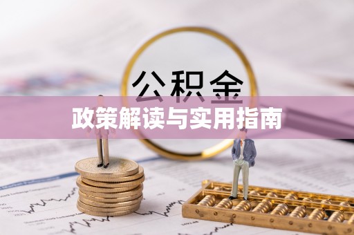 百色政策解读与实用指南