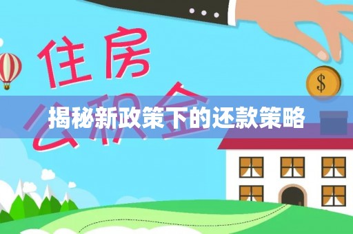 百色揭秘新政策下的还款策略