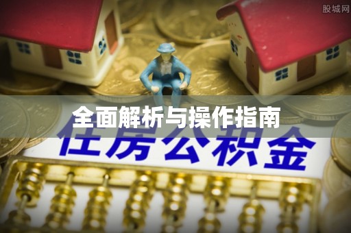 百色全面解析与操作指南