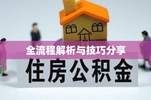 百色全流程解析与技巧分享